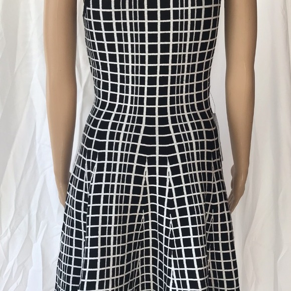 The Limited Dress (xs) - Picture 4 of 5